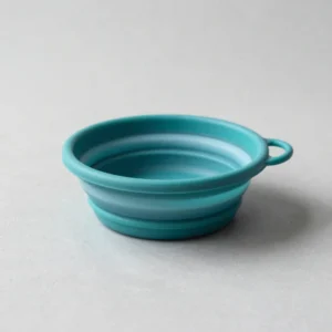 Collapsible Travel Bowl